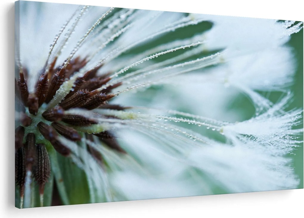 Tablou - Detaliu floare (90x60 cm)