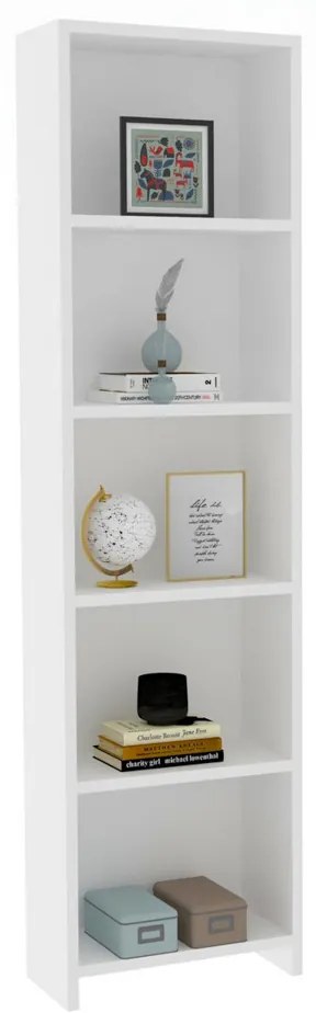 Biblioteca Barkin White