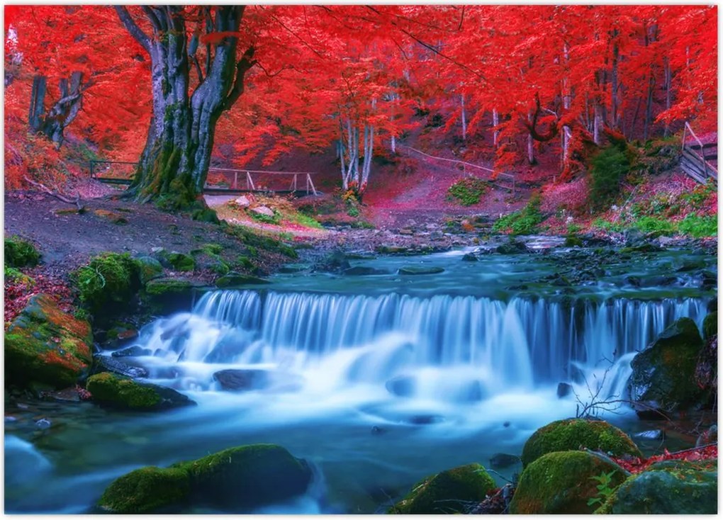 Tablou - Cascada în pădurea roșie (70x50 cm)