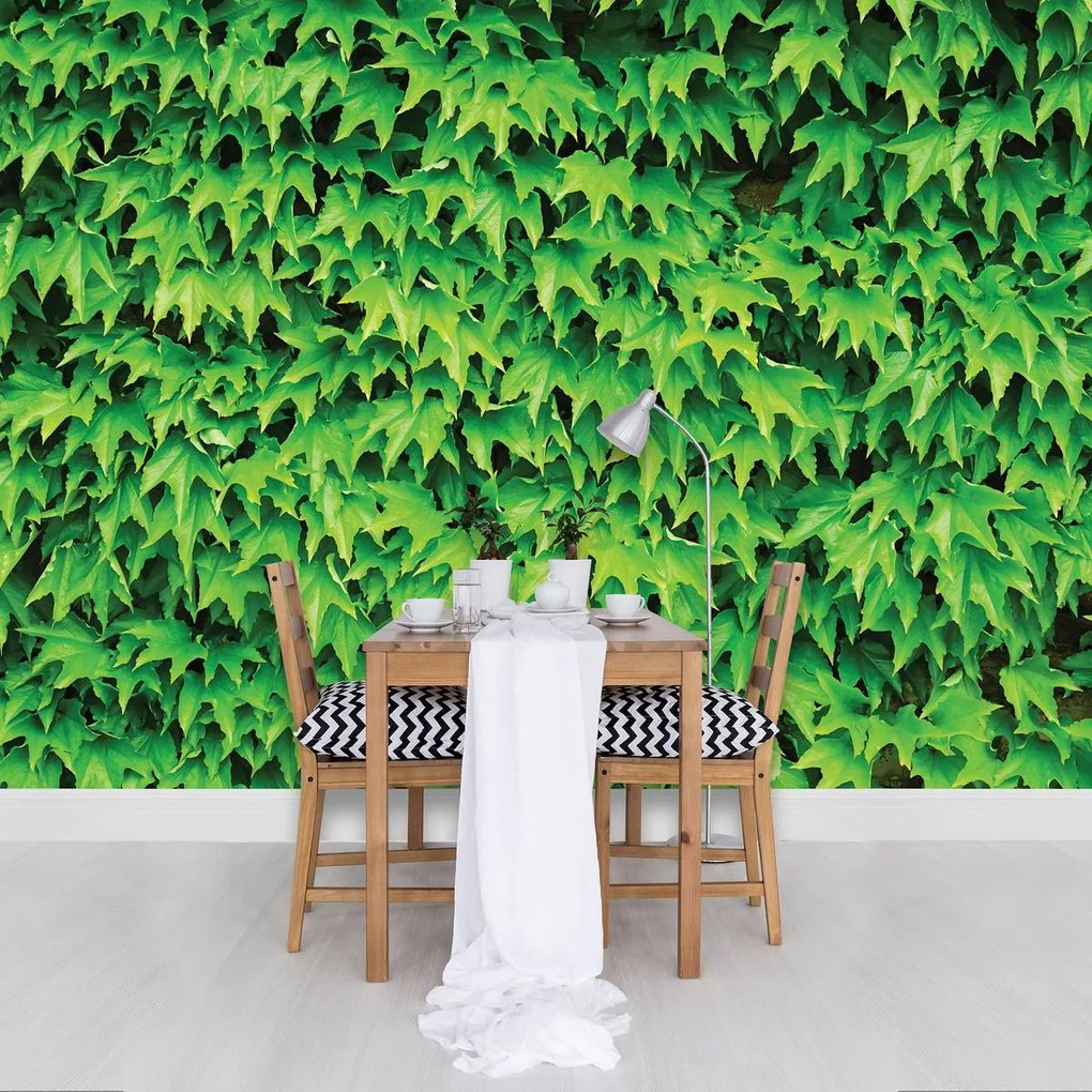 Fototapet - Frunze (152,5x104 cm)