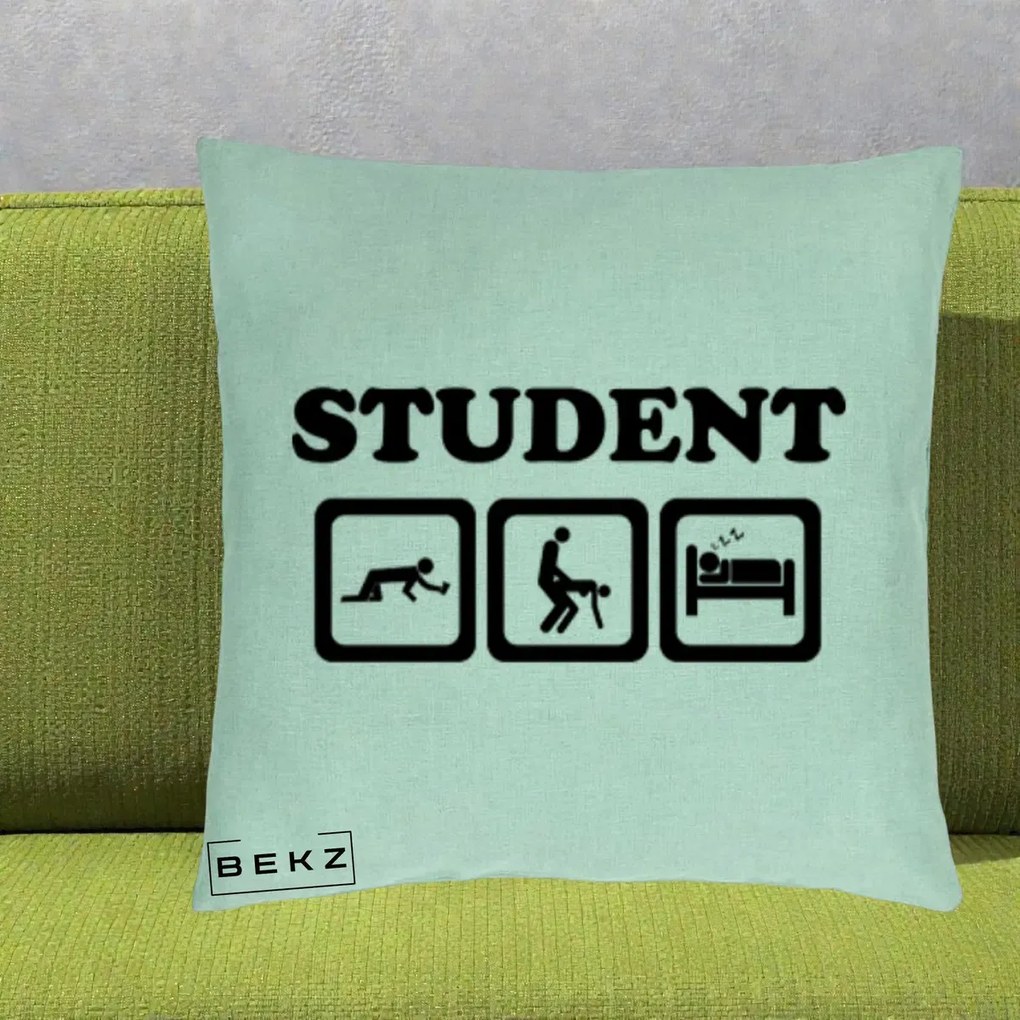 Perna Decorativa Student Life, 40x40 cm, Verde Menta, Husa Detasabila, Perna Inclusa, BEKZ®