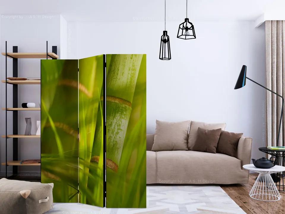 Paravan - bamboo - nature zen [Room Dividers]