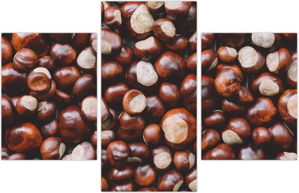Tablou - Castane coapte (90x60 cm)