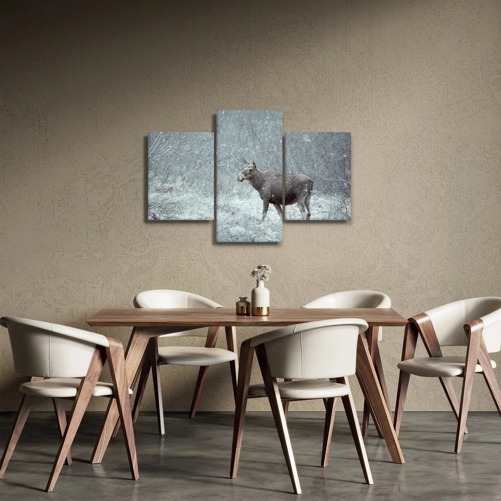 Tablou - Elan într-o pădure înzăpezită (90x60 cm)
