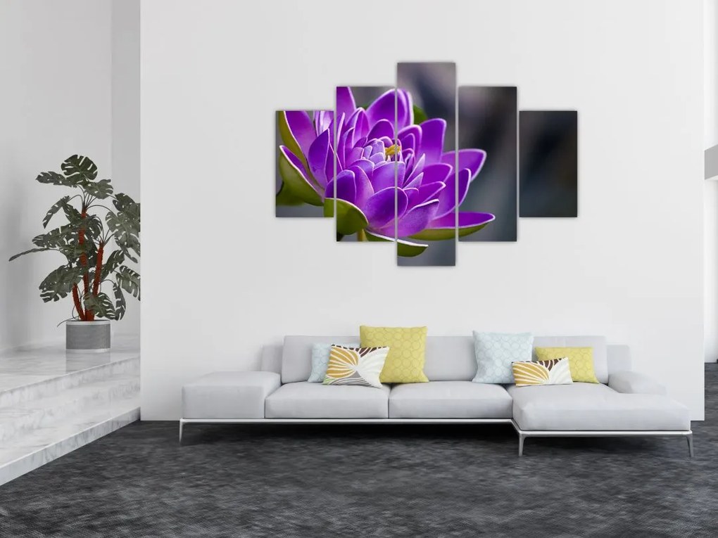 Tablou floarei (150x105 cm)