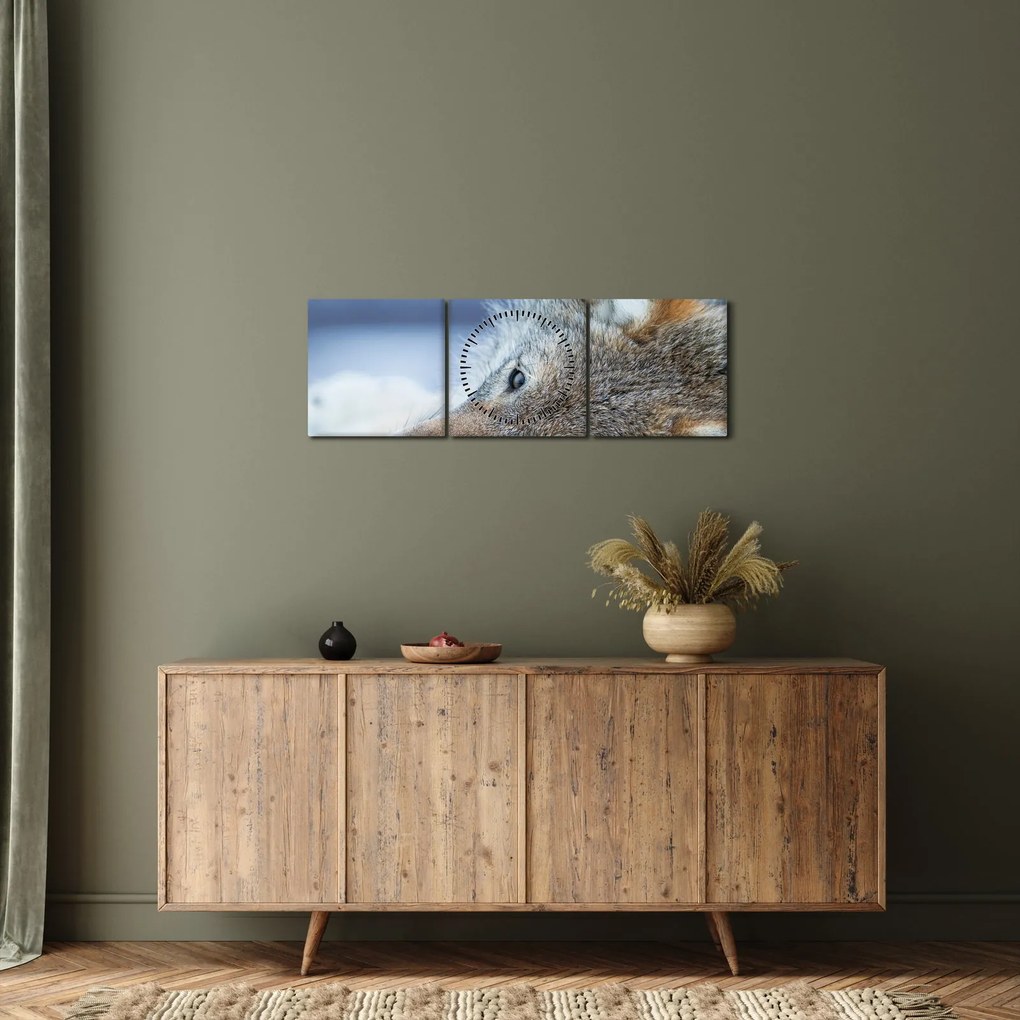 Tablou - Lup (cu ceas) (90x30 cm)