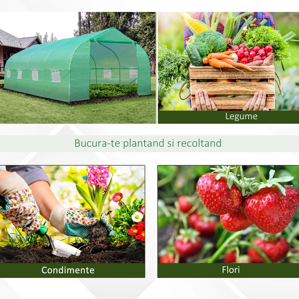 Outsunny, sera gradina sera pentru plante, legume, fructe cu acoperis, 6x3x2, verde | Aosom Romania