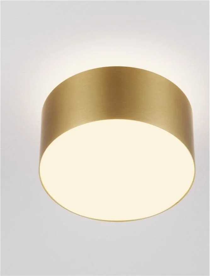 Spot LED aplicat diametru 14cm OZEN auriu, NVL-9695172