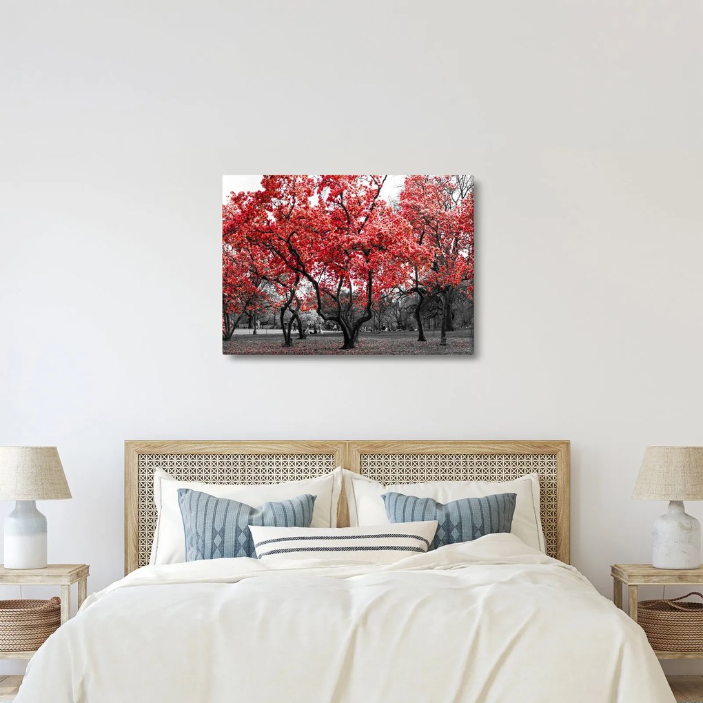 Tablou - Copacii roșii, Central Park, New York (70x50 cm)