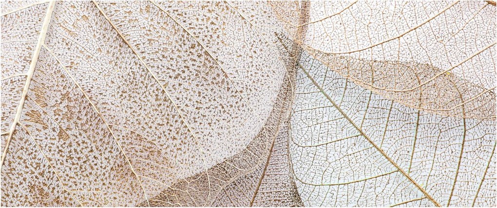 Tablou - Frunze bej (120x50 cm)
