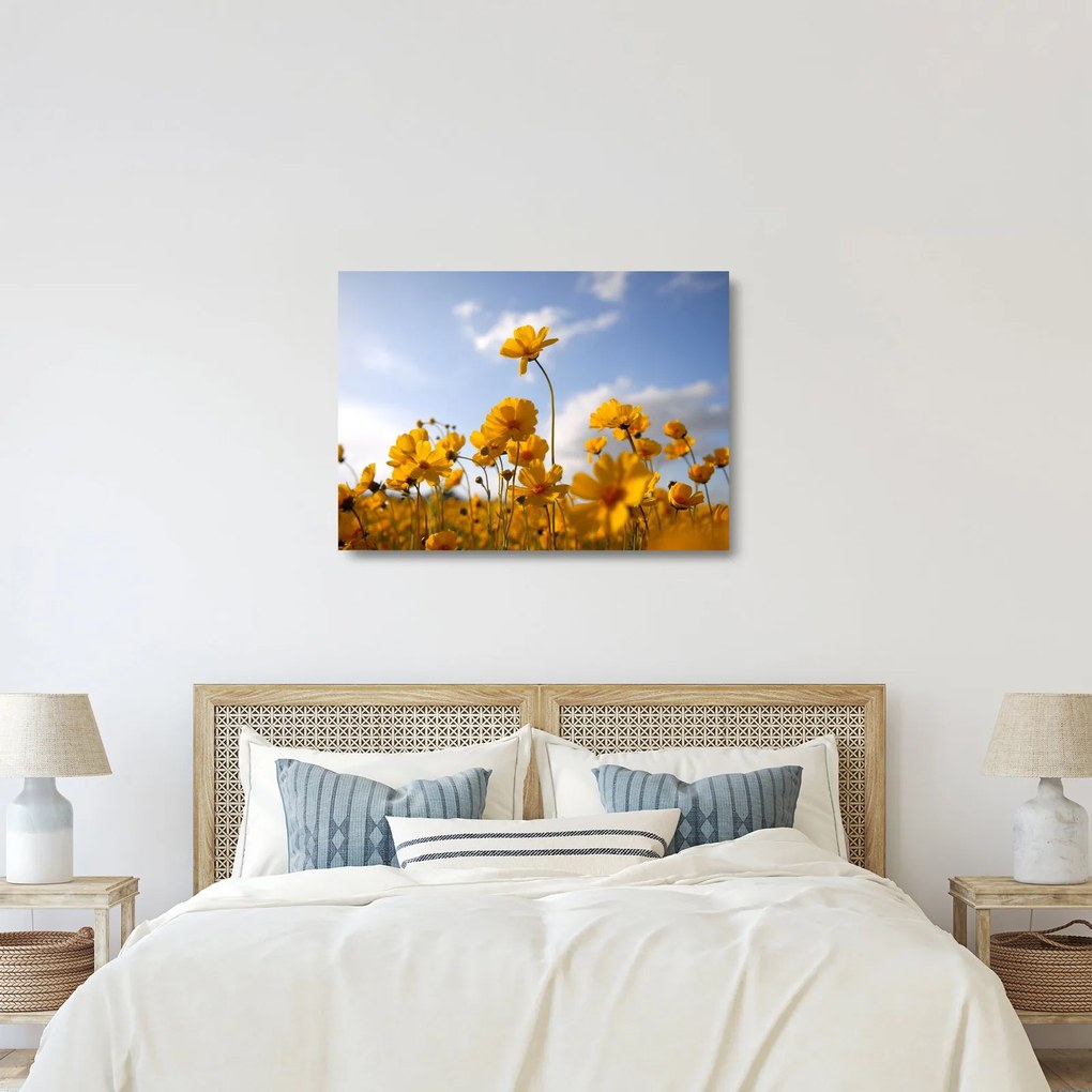 Tablou pe sticlă - Câmp cu flori galben deschis (70x50 cm)