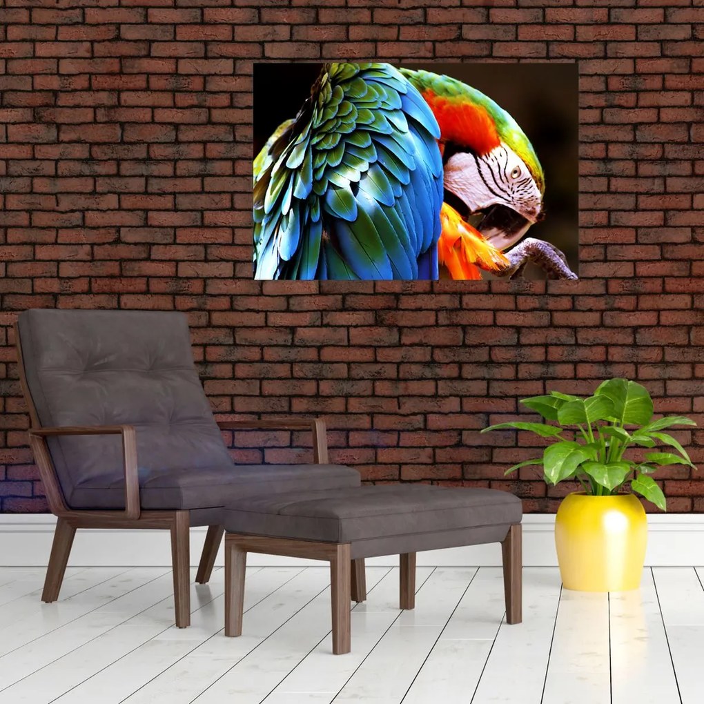 Tablou - Papagal (90x60 cm)