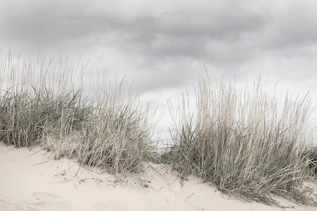 Fototapet, Pale Shore, Rebel Walls
