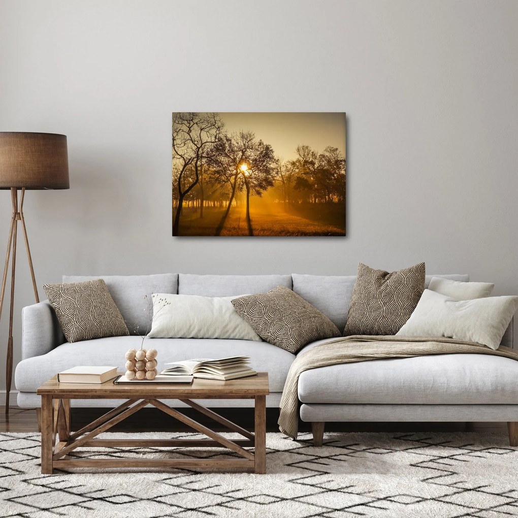 Tablou cu răsăsrit de soare (70x50 cm)
