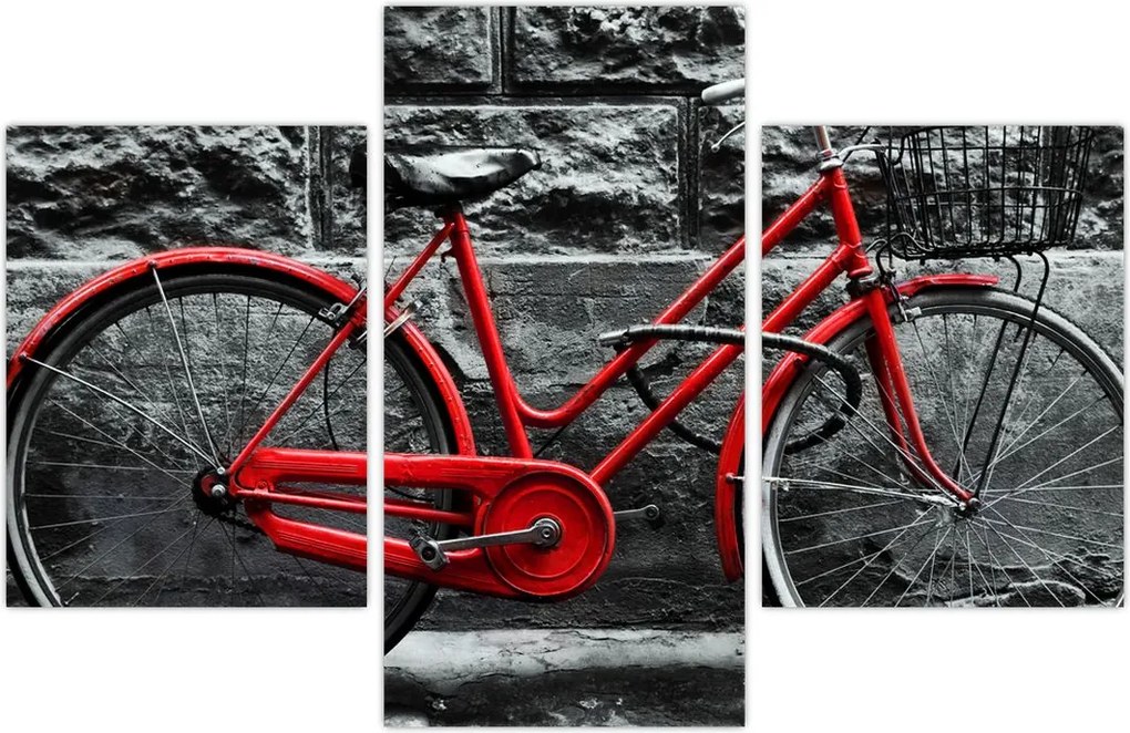 Tablou - Bicicleta istorică (90x60 cm)