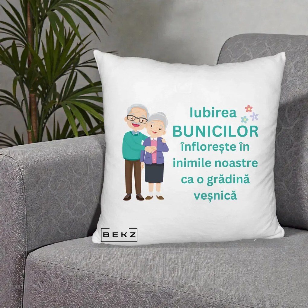 Cadou pentru Bunici - Perna Personalizata Bunicii Iubirea Infloreste Cuplu Senior Teal, 40x40 cm, Alb Pufos, Husa Detasabila, Perna Inclusa, BEKZ®