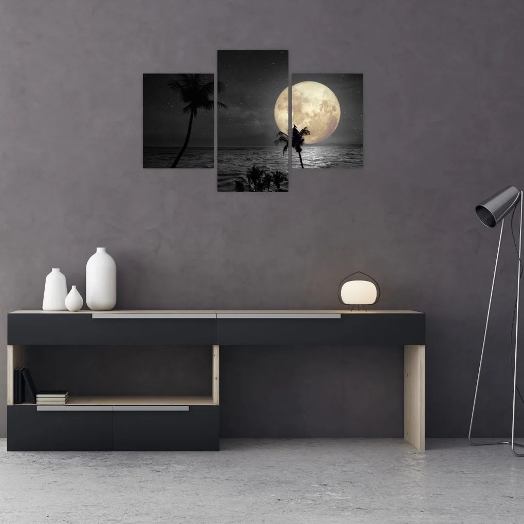 Tablou - Plaja cu lună plină, nuanțe gri (90x60 cm)