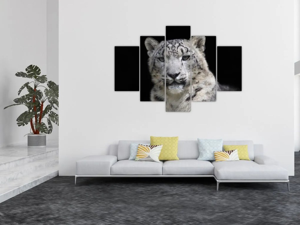 Tablou - Snow Leopard (150x105 cm)