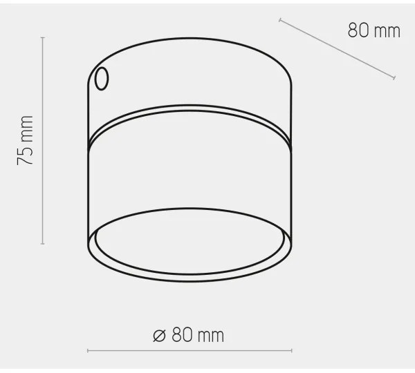 Spot SPACE GOLD 1xGX53/15W/230V