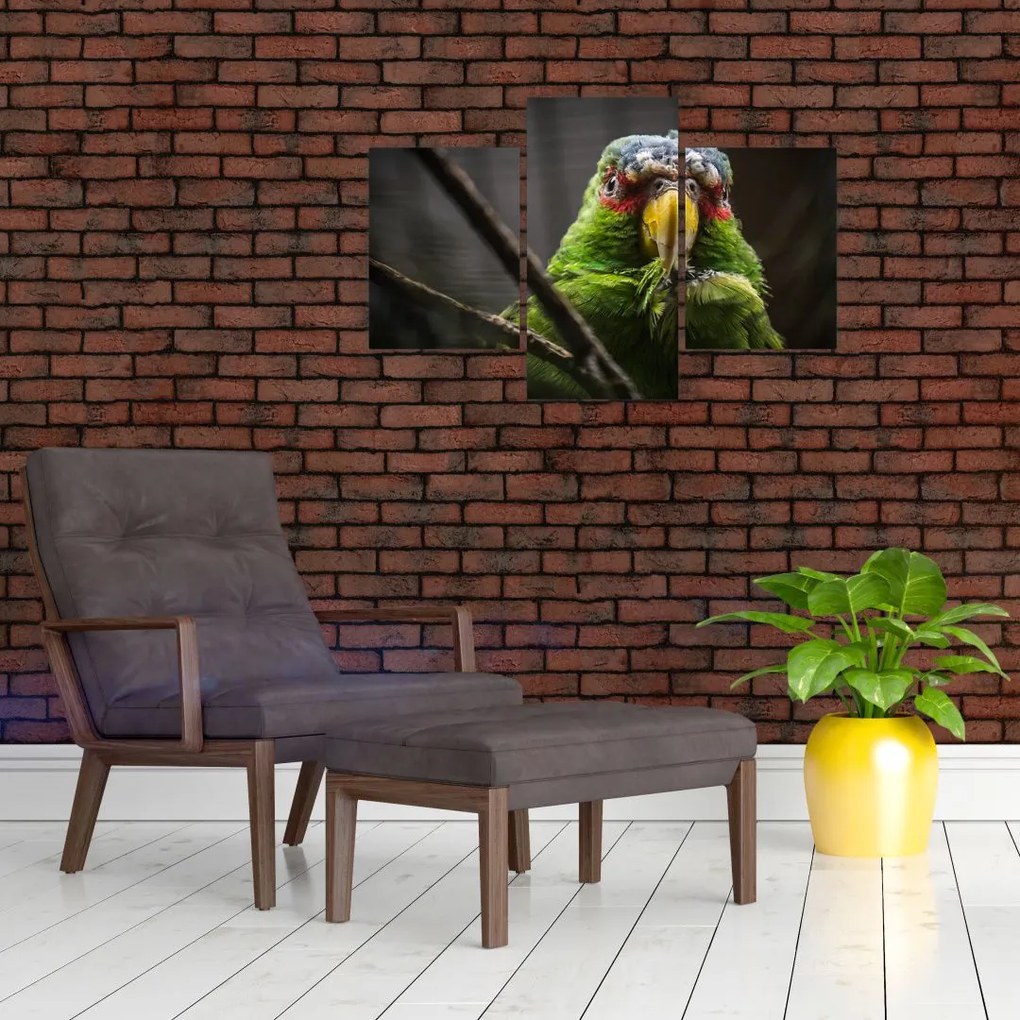Tablou cu papagal (90x60 cm)