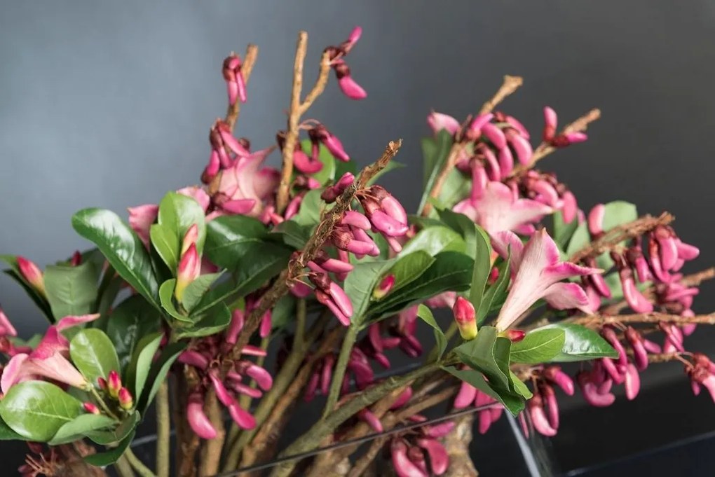 Aranjament floral elegant, design lux ADENIUM 1141846.47