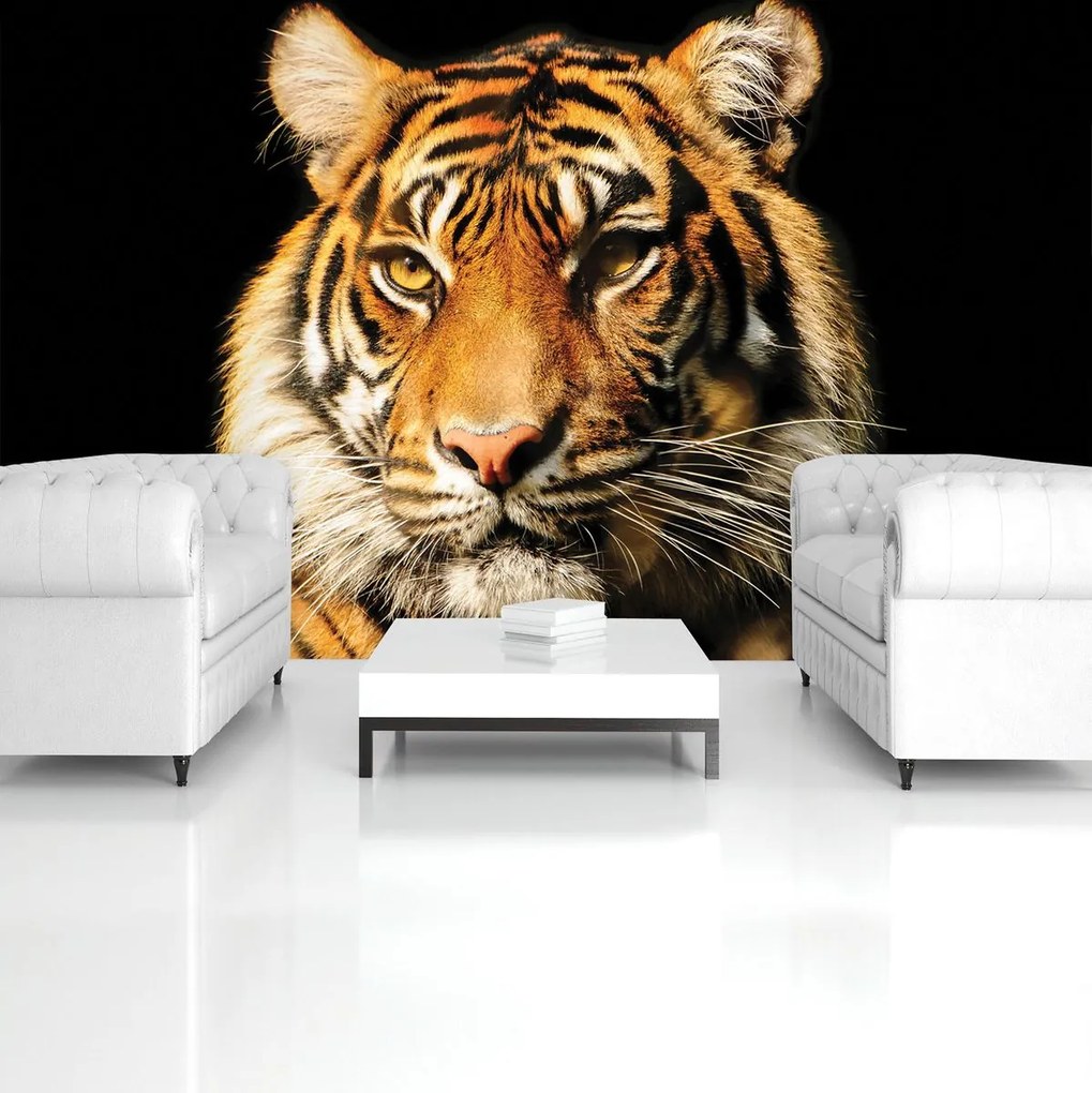 Fototapet - Tigrul maiestuos (152,5x104 cm)