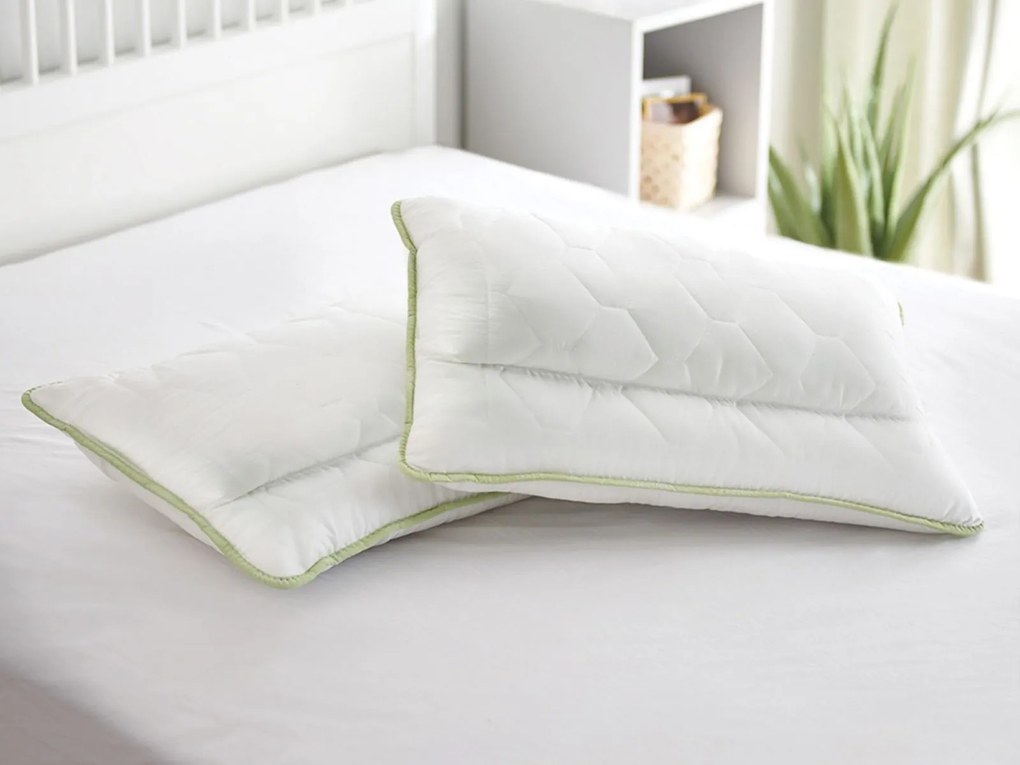 Set 2 Perne Dormeo Anatomice Aloe Vera 50x70 cm