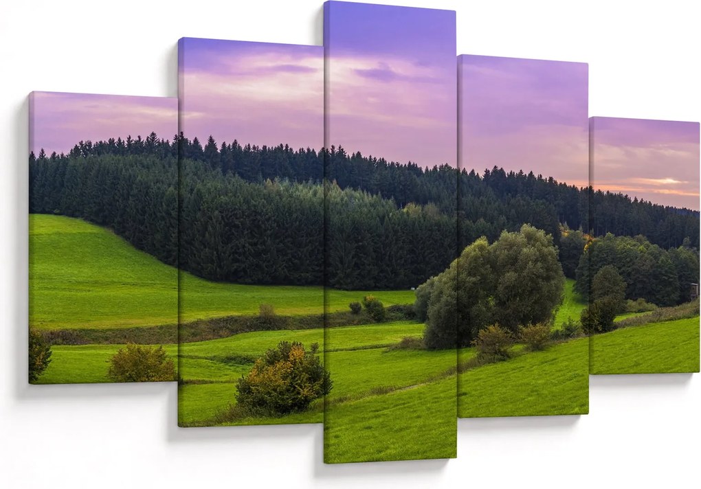 Tablou cu lunca (150x105 cm)