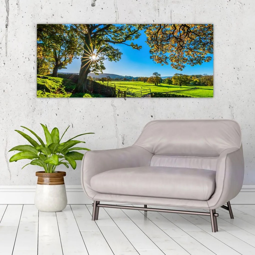 Tablou Privire la câmp (120x50 cm)