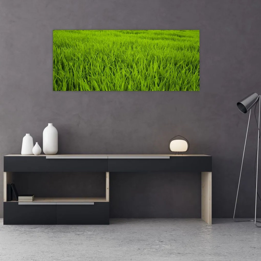 Tablou cu iaraba (120x50 cm)