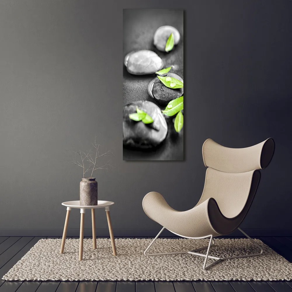 Tablou pe pânză canvas Frunze zen pietre