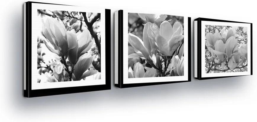 GLIX Tablou - Black and White Roses in Paspart II 3 x 25x25 cm