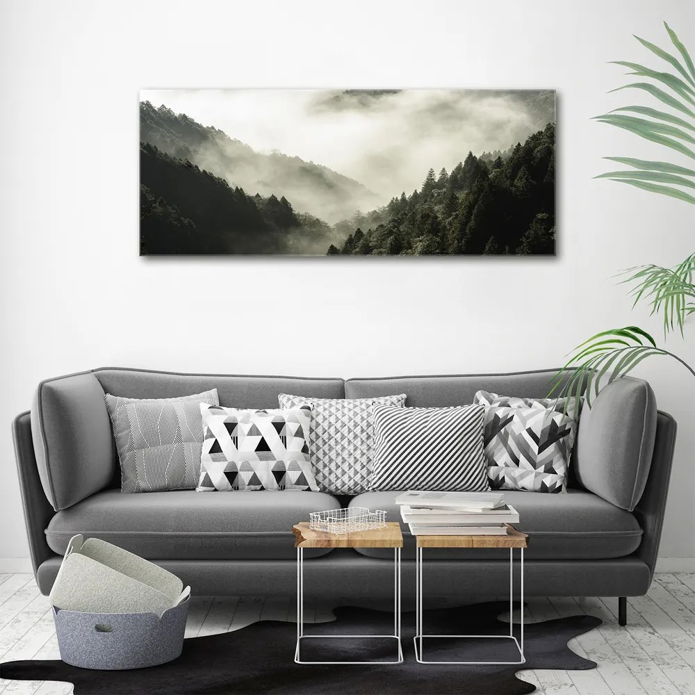 Tablou pe pânză canvas Ceață peste pădure