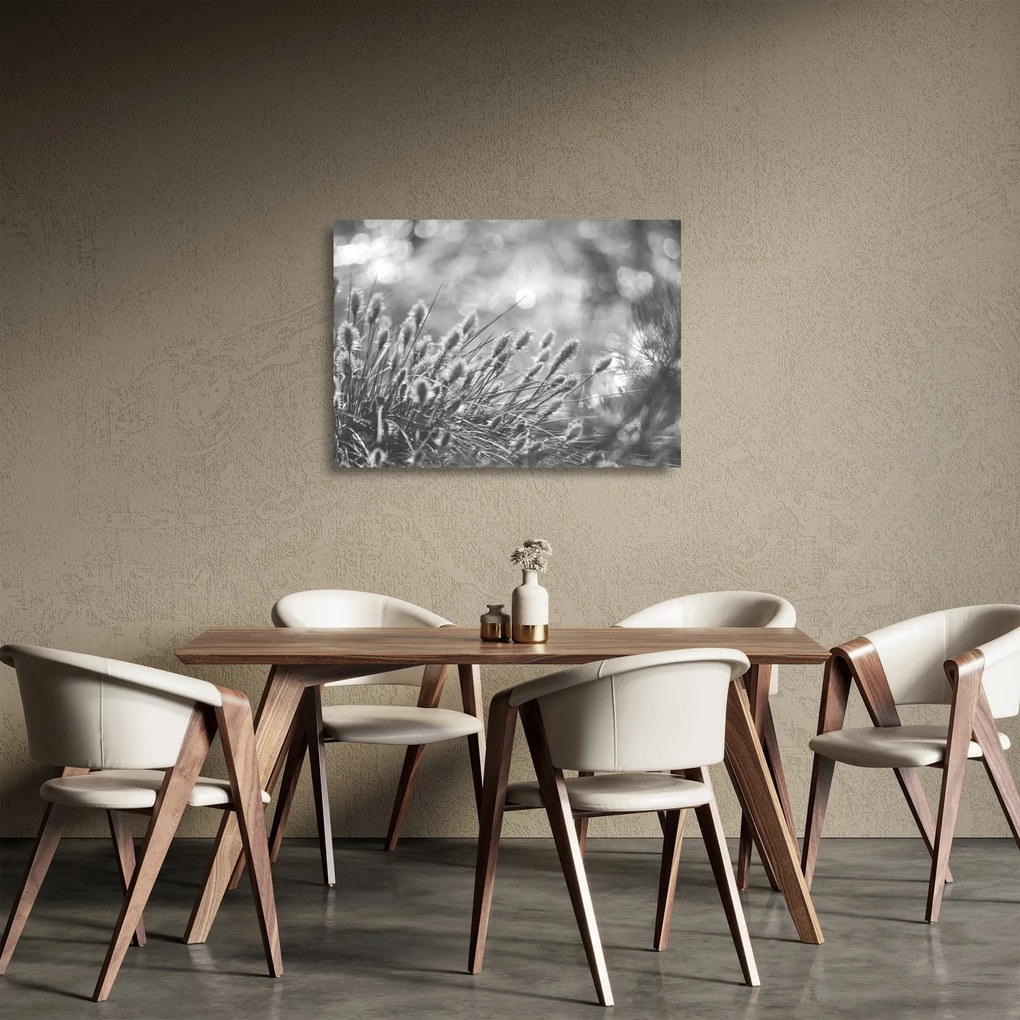 Tablou pe sticlă - Iarbă moale bej N⁰1 (70x50 cm)