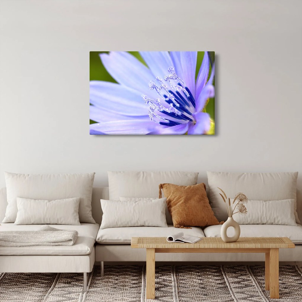 Tablou - Floare (90x60 cm)