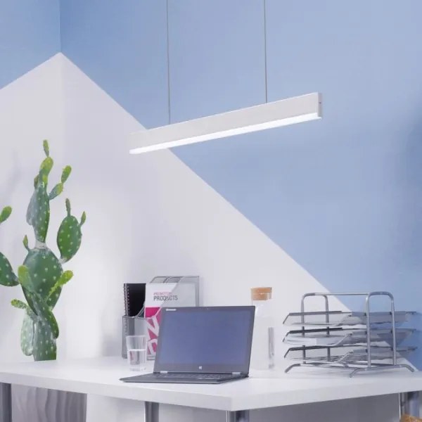 Lustră LED dimabilă pe cablu ARINA LED/20W/230V Paul Neuhaus 8363-55