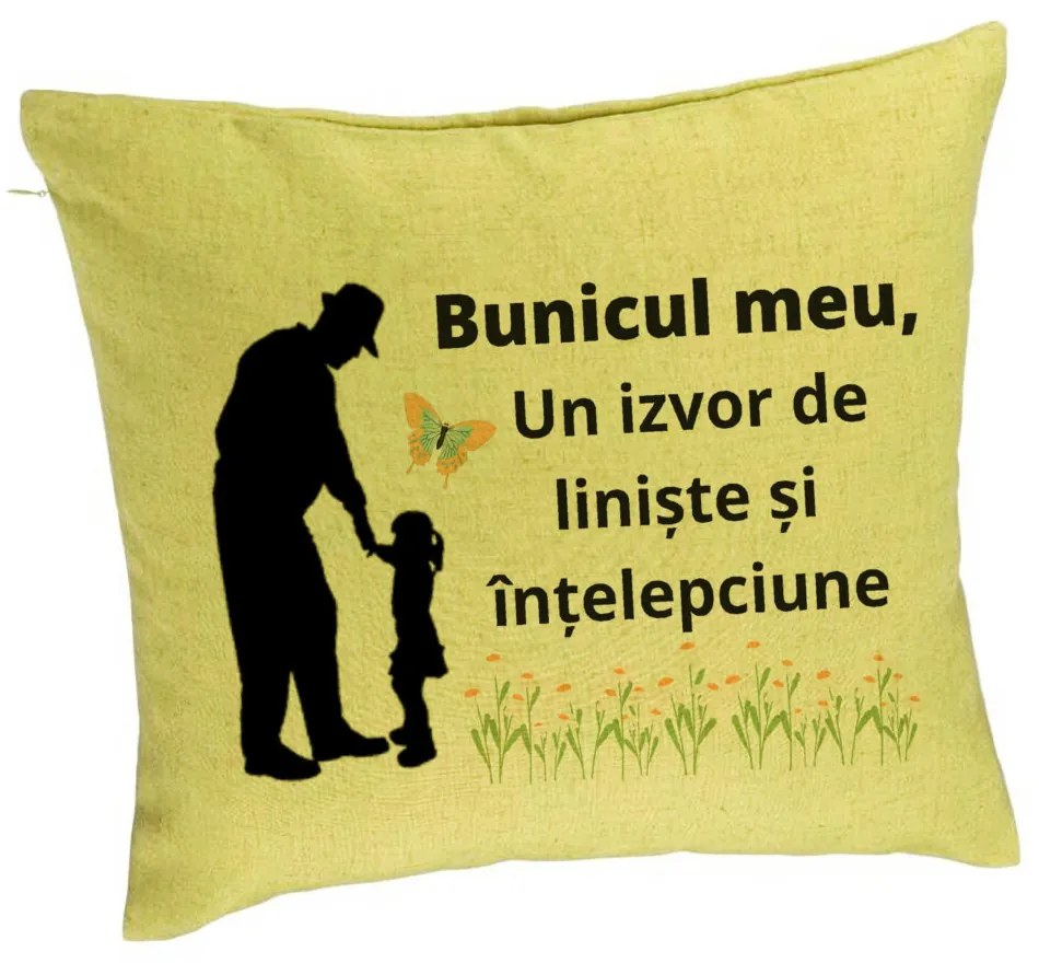 Perna Decorativa pentru Bunicul 5, 40x40 cm, Verde, Husa Detasabila, Burduf