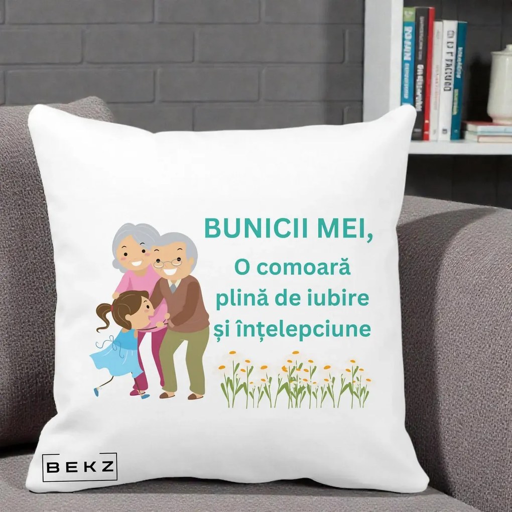 Cadou pentru Bunici - Perna Personalizata Bunicii Mei Comoara Iubire Intelepciune Nepoata, 40x40 cm, Alba Mata, Husa Detasabila, Perna Inclusa, BEKZ®