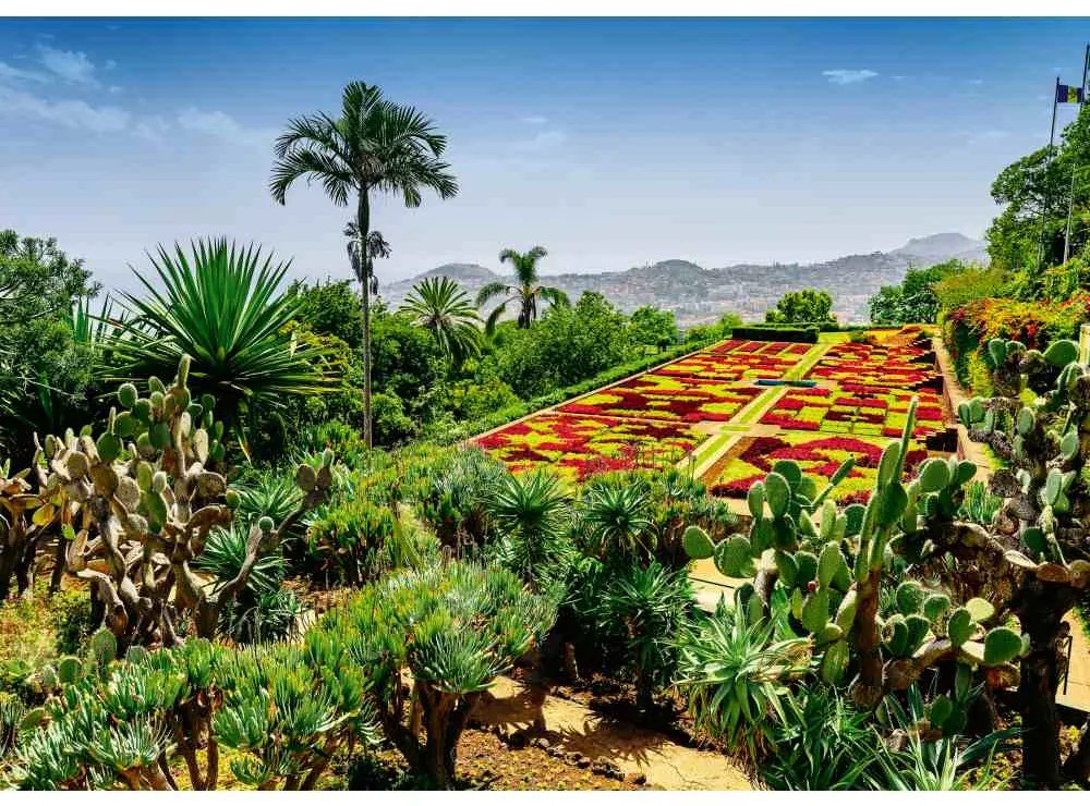 PUZZLE GRADINA BOTANICA MADEIRA 1000 PIESE - RAVENSBURGER (RVSPA00853)