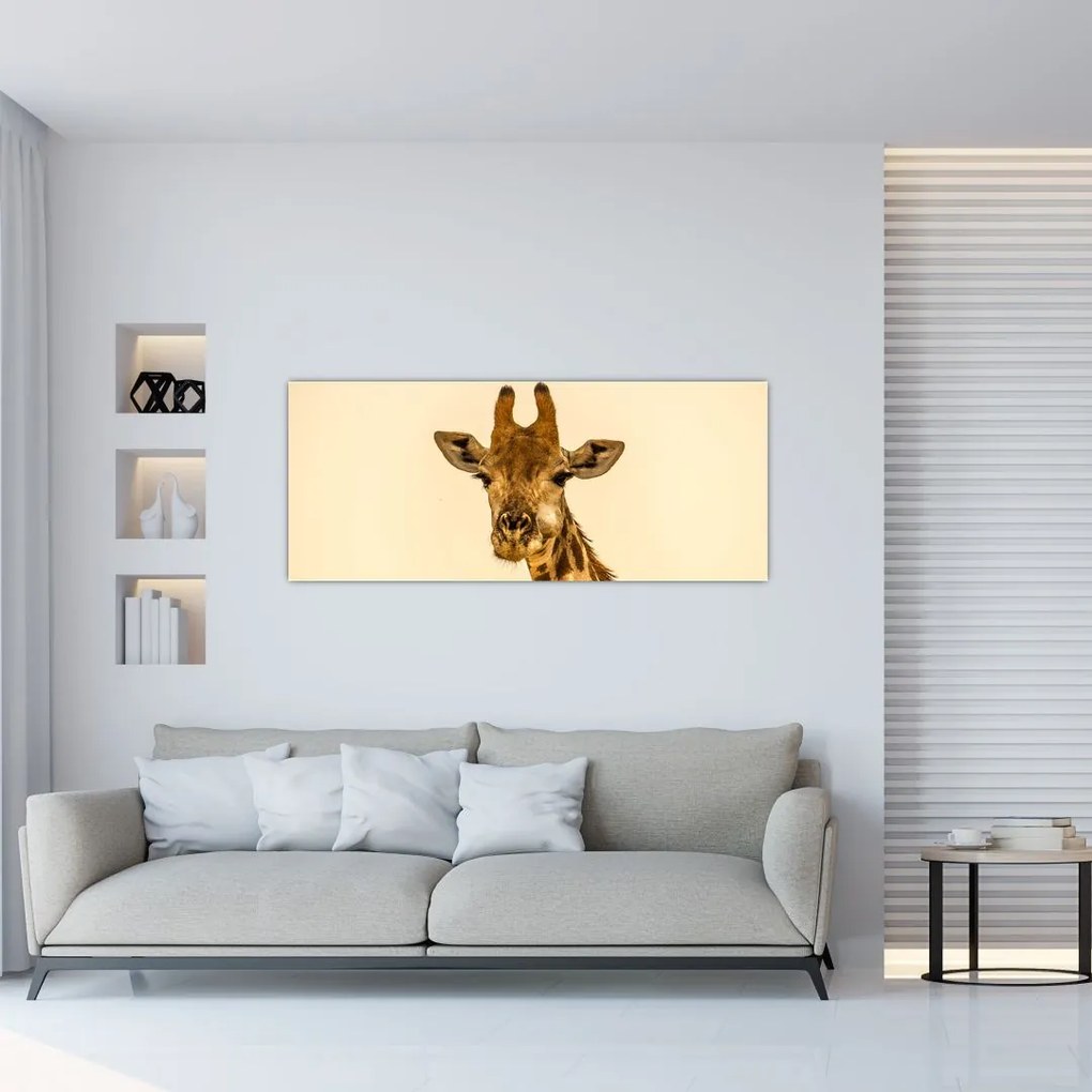 Tablou cu girafe (120x50 cm), în 40 de alte dimensiuni noi