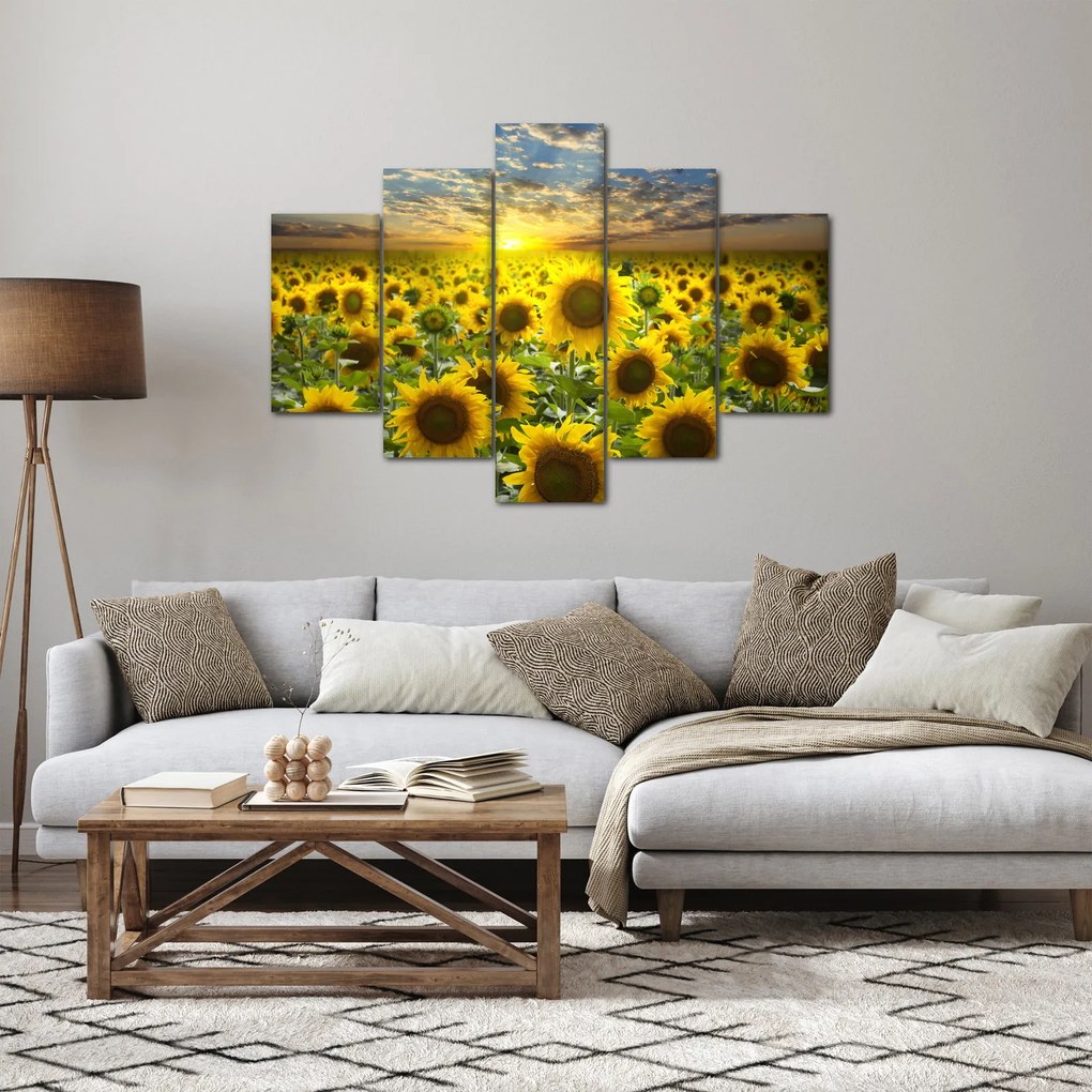 Tablou - Floarea-soarelui la apus de soare (150x105 cm)