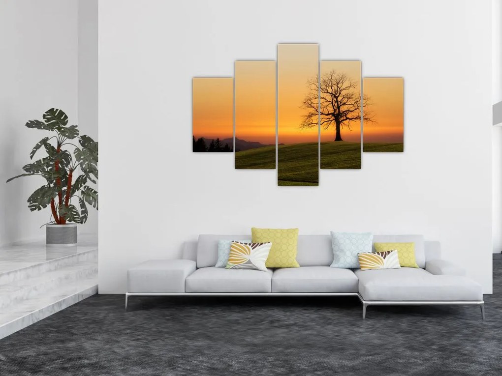 Tablou cu apus de soare pe o luncă (150x105 cm)