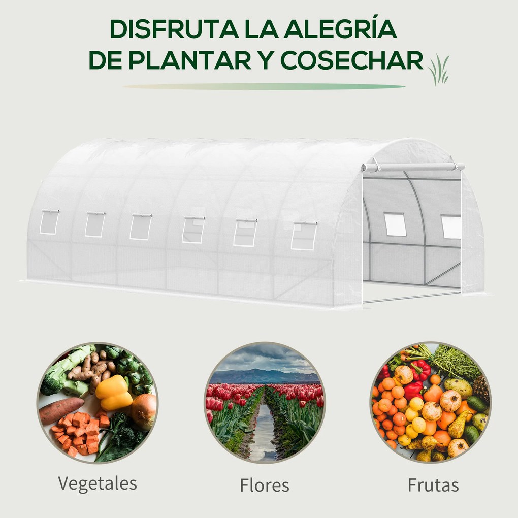 Outsunny Seră tip tunel 6x3x2 m Seră de grădină cu ușă rulabilă 12 ferestre Învelitoare PE 140 g/m² și metal galvanizat pentru culturi plante legume Alb | Aosom Romania