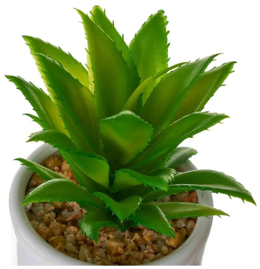 Plante artificiale 4 buc. Cactus – Casa Selección