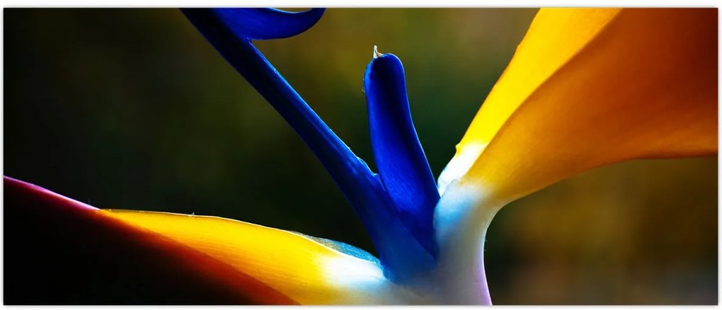 Tablou - Floare exotică (120x50 cm)