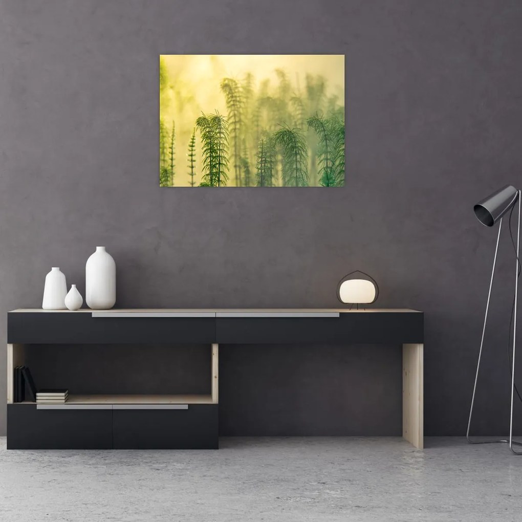 Tablou pe sticlă - Detaliu de primăvară natura cețoasă (70x50 cm)