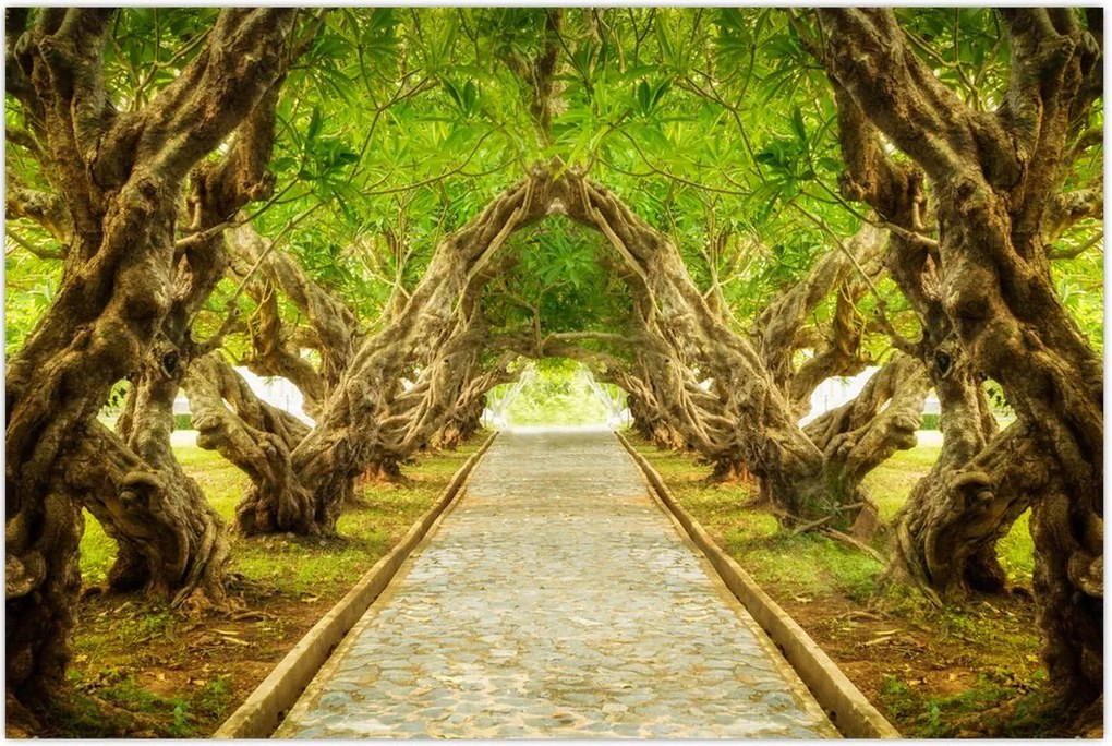 Tablou - Tunel viu din plumeria (90x60 cm)