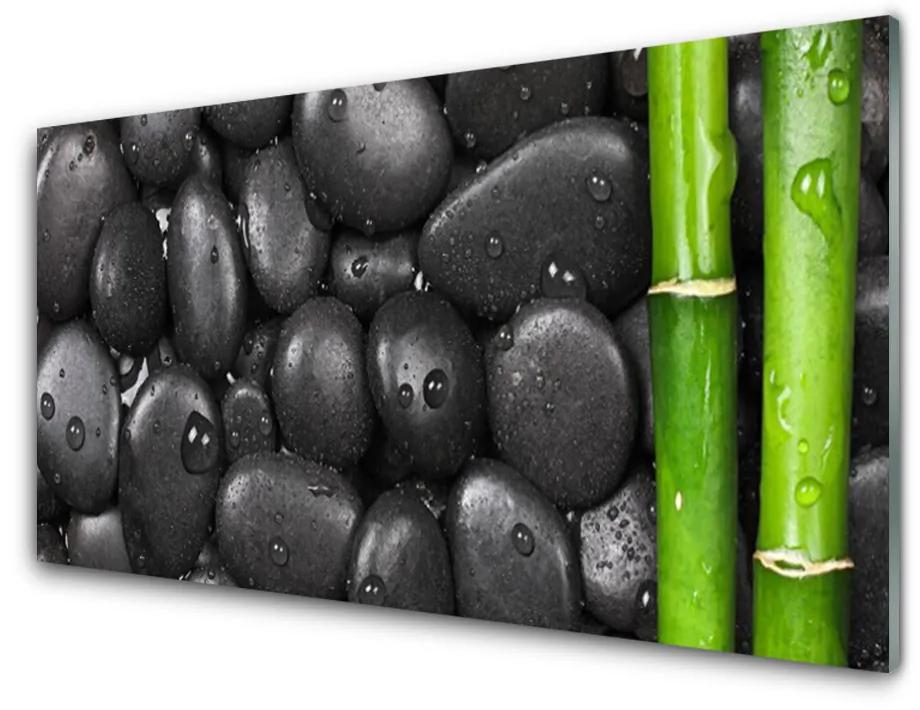 Tablou pe sticla Bamboo Stalk Stones Arta Verde Negru