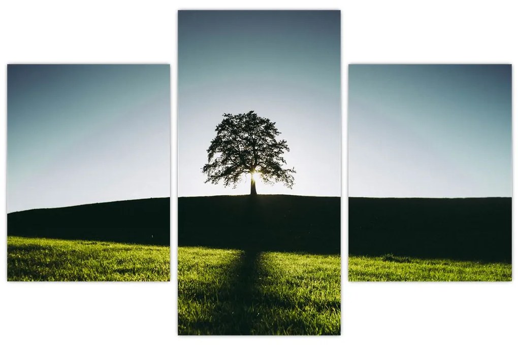 Tablou cu natura - copac (90x60 cm)