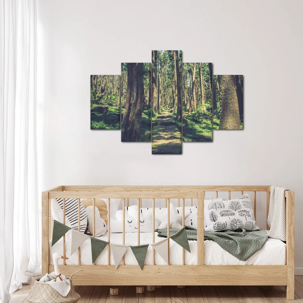 Tablou cu drum între copaci (150x105 cm)